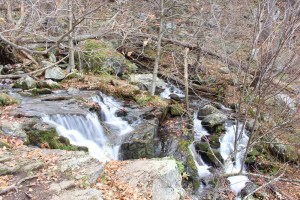 The view from the top of Lewis Falls.
