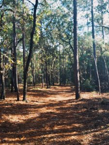 Processed with VSCO with g3 preset