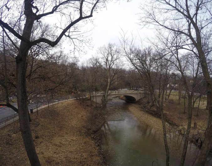 Early morning view of Rock Creek from inside the Zoo.