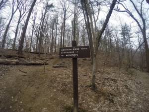 DCIM100GOPROG0561534.