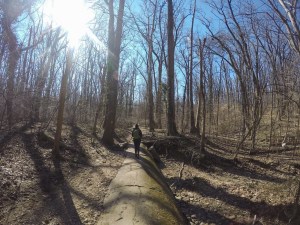 DCIM100GOPROG1401791.