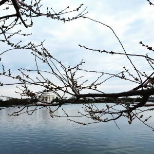 IMG_20160312_204241 (1)