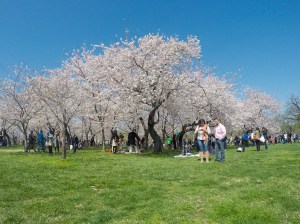 DCIM100GOPROG3252333.